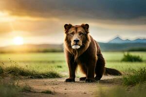 un' Leone è in piedi nel il mezzo di un' campo. ai-generato foto