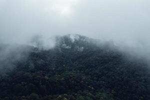 alberi e montagne nei giorni di pioggia foto