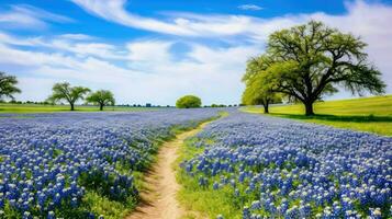 natura Texas Bluebonnet praterie ai generato foto