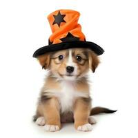 carino cucciolo cane indossare Halloween cappello, isolato su bianca sfondo, ai generato foto