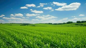 rurale Iowa campi di grano agricolo ai generato foto