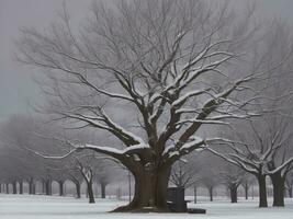 albero bellissimo vicino su Immagine ai generato foto