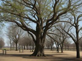 albero bellissimo vicino su Immagine ai generato foto