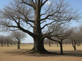 albero bellissimo vicino su Immagine ai generato foto