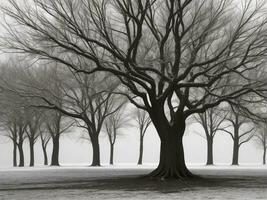 albero bellissimo vicino su Immagine ai generato foto