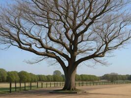 albero bellissimo vicino su Immagine ai generato foto