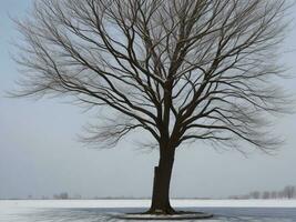 albero bellissimo vicino su Immagine ai generato foto