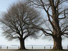 albero bellissimo vicino su Immagine ai generato foto