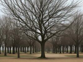 albero bellissimo vicino su Immagine ai generato foto