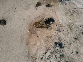 pieno telaio tiro di bellissimo spiaggia sabbia nel il estate sole. foto