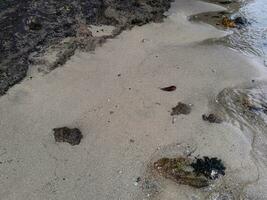 pieno telaio tiro di bellissimo spiaggia sabbia nel il estate sole. foto