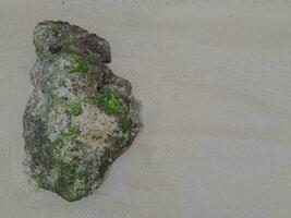 corallo pietra su il riva a est Giava spiaggia foto