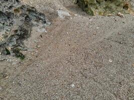 corallo pietra su il riva a est Giava spiaggia foto