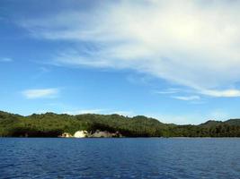 la natura dello stretto di Lembeh. foto