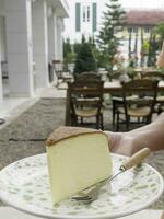 pezzo di torta di formaggio servendo nel il giardino foto