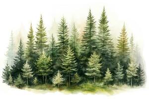 acquerello illustrazione di un' conifero foresta su un' bianca sfondo, mano disegnato acquerello conifero foresta illustrazione di abete rosso, ai generato foto