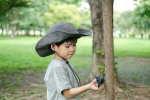 un asiatico ragazzo indossare un' cappello nel un' foresta esplorazione completo da uomo giochi con un' scarafaggio su il suo mano. foto