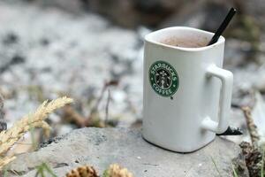 Washington, Stati Uniti d'America - gennaio 13 2023 Starbucks caffè boccale posto su rocce in giro un' campeggio fuoco di bivacco con pino coni e canne foto