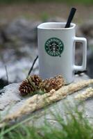 Washington, Stati Uniti d'America - gennaio 13 2023 Starbucks caffè boccale posto su rocce in giro un' campeggio fuoco di bivacco con pino coni e canne foto