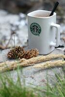 Washington, Stati Uniti d'America - gennaio 13 2023 Starbucks caffè boccale posto su rocce in giro un' campeggio fuoco di bivacco con pino coni e canne foto