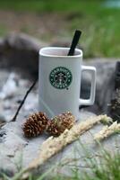 Washington, Stati Uniti d'America - gennaio 13 2023 Starbucks caffè boccale posto su rocce in giro un' campeggio fuoco di bivacco con pino coni e canne foto