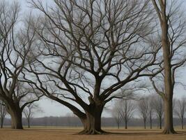 albero bellissimo vicino su Immagine ai generato foto