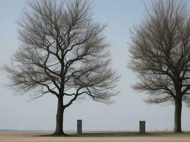 albero bellissimo vicino su Immagine ai generato foto