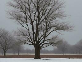 albero bellissimo vicino su Immagine ai generato foto