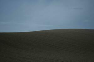 arato campo nel il mattina foto