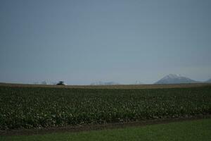 nuvole al di sopra di il montagne e aziende agricole foto