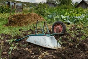 rovesciato carriola nel il giardino. foto