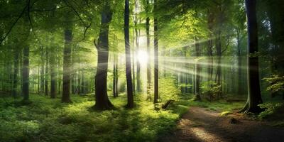 bellissimo raggi di luce del sole nel un' verde foresta. generativo ai foto