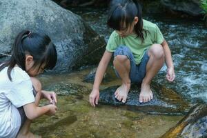 contento bambini giocando nel il fiume. Due sorelle nel il estate a il fiume siamo avendo divertimento giocando nel il sabbia su il costa. all'aperto divertimento, ricreativo e apprendimento attività con bambini. foto