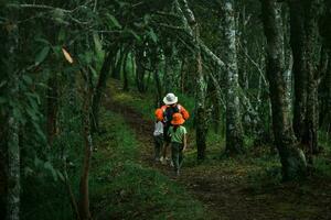 contento giovane donna con sua figlia a piedi su un' campo viaggio insieme nel il montagne. famiglia su un' escursioni a piedi avventura attraverso il foresta. genitori insegnare loro bambini di natura e impianti. foto