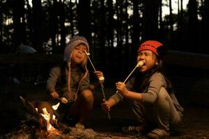 carino poco sorelle torrefazione marshmallows su falò. bambini avendo divertimento a campo fuoco. campeggio con bambini nel inverno pino foresta. contento famiglia su vacanza nel natura. foto