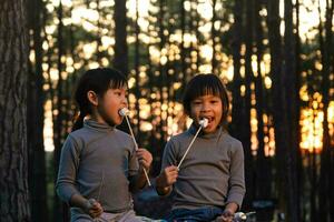 carino poco sorelle torrefazione marshmallows su falò. bambini avendo divertimento a campo fuoco. campeggio con bambini nel inverno pino foresta. contento famiglia su vacanza nel natura. foto