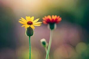 Due giallo fiori siamo in piedi nel davanti di un' sfocato sfondo. ai-generato foto