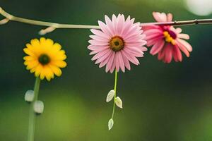 tre fiori siamo sospeso a partire dal un' ramo. ai-generato foto