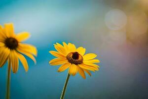 Due giallo fiori siamo nel davanti di un' blu sfondo. ai-generato foto