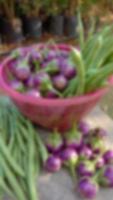 melanzana viola sfocata foto appena scattata in giardino