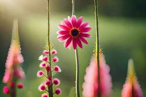 rosa fiori nel il sole. ai-generato foto