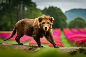 un' Marrone orso a piedi attraverso un' campo di rosa fiori. ai-generato foto