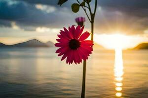 un' fiore è in piedi nel davanti di il sole. ai-generato foto