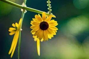 un' giallo girasole è in crescita su un' ramo. ai-generato foto