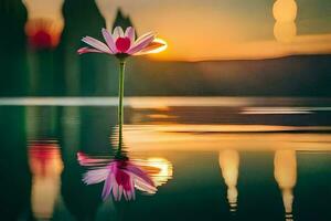 un' singolo rosa fiore è galleggiante nel il acqua a tramonto. ai-generato foto