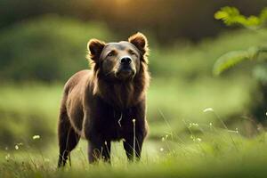 un' Marrone cane è in piedi nel il erba. ai-generato foto