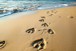 giocoso cane spiaggia impronte. creare ai foto