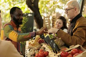 anziano contadino dando Mela campione per africano americano uomo, cliente provando su bio biologico frutta e verdure. vecchio persona piccolo attività commerciale proprietario vendita biologico eco prodotti a azienda agricola In piedi. foto