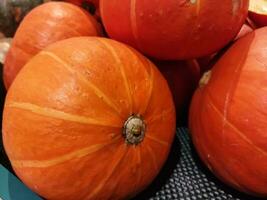 sfocato Immagine di vicino su mini zucche nel agricoltori mercato. Halloween, ottobre, novembre. foto