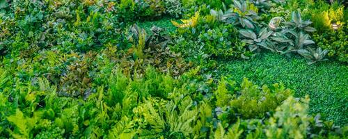 verde fogliame falso plastica natura pianta foglia per interno decorazione largo panorama per sfondo foto